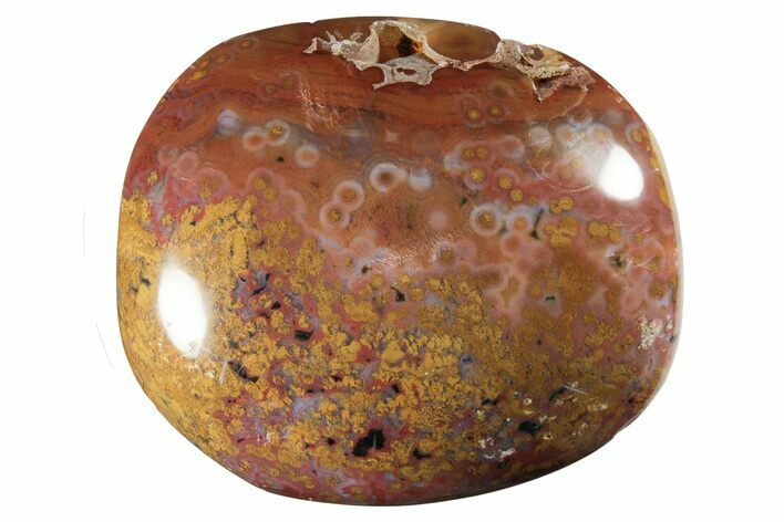 Polished Ocean Jasper Stone #239220
